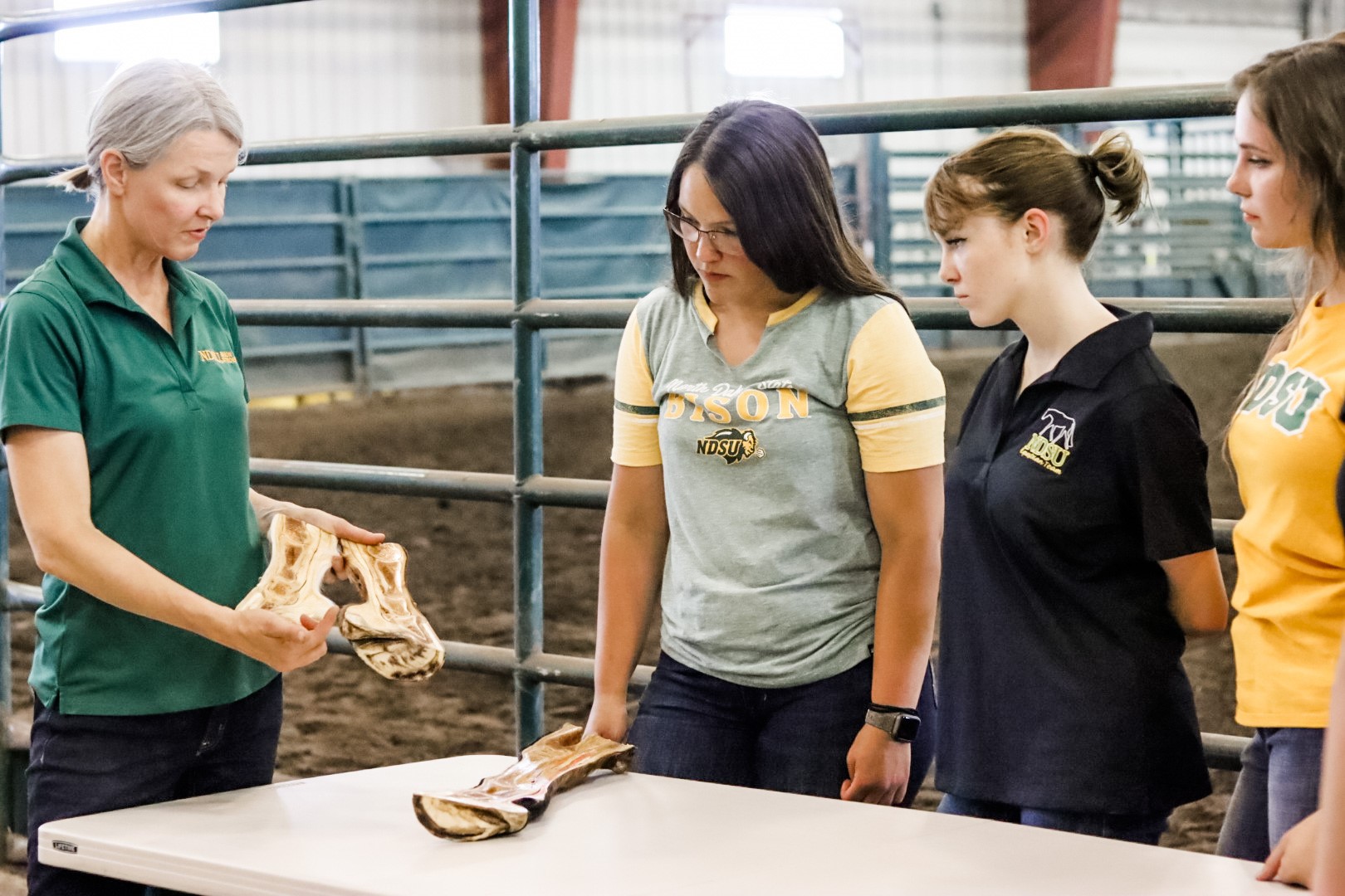 Equine Assisted